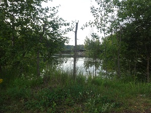 DSC02777.jpg