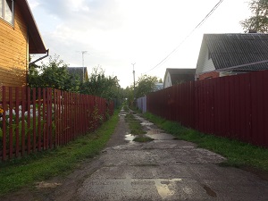 DSC02775.jpg